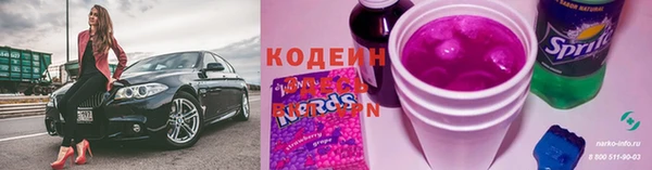 дмт Пересвет