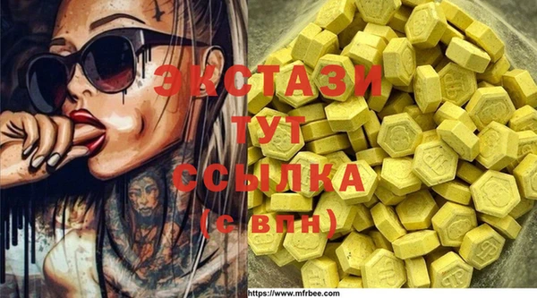 дмт Пересвет