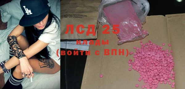дмт Пересвет