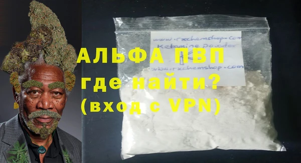 дмт Пересвет