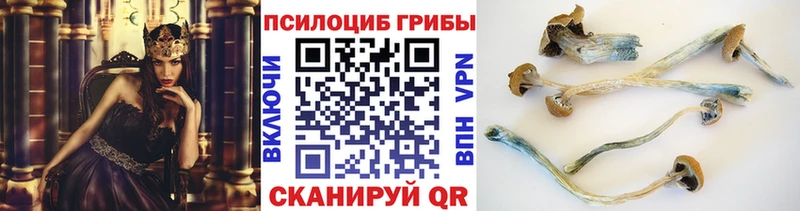 Галлюциногенные грибы ЛСД Ялуторовск